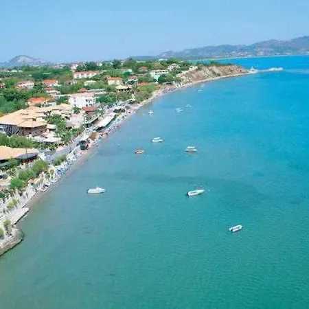 Turtle Agios Sostis (Zakynthos)