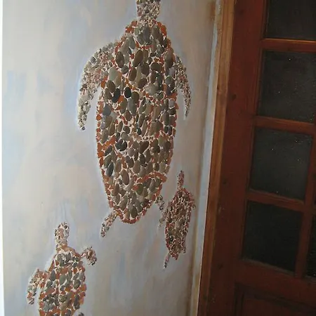 Hotel Turtle 2*