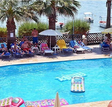Turtle Agios Sostis (Zakynthos)